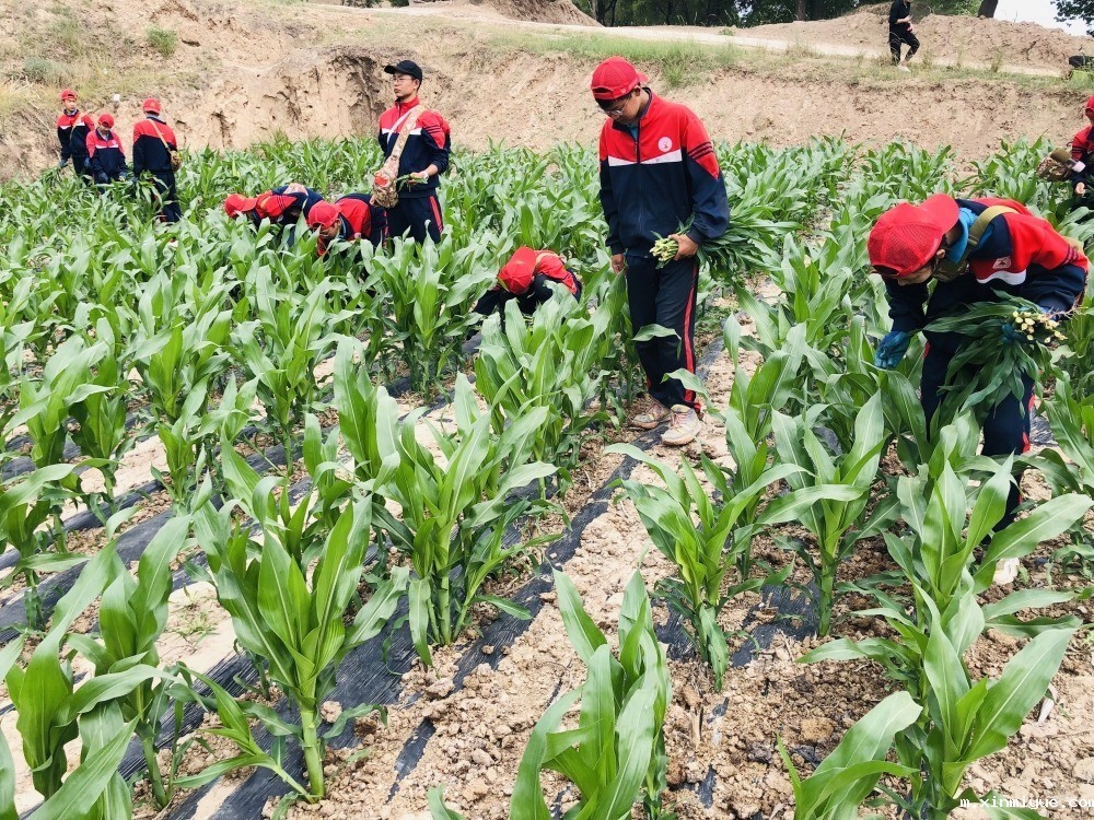  青春期孩子患上抑郁症，是选择心理医生还是必威官方登录首页？_m.xinmiyue.com