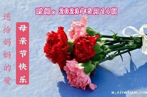 【活动预告】2023年必威betway中文官网大型感恩活动：情浓五月天 感恩慈母爱_m.xinmiyue.com
