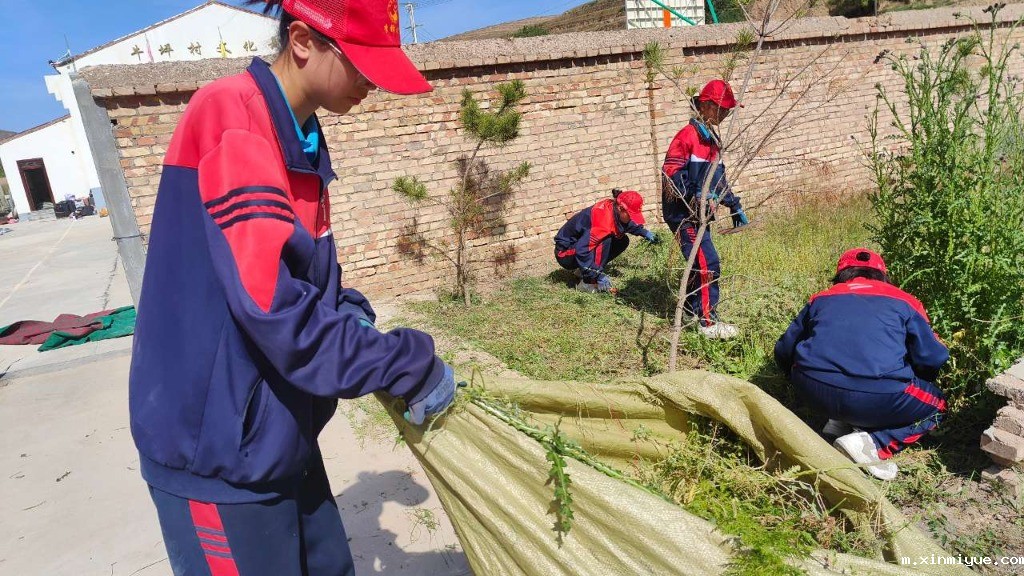 必威betway中文官网「2023年成长不烦恼」夏令营第二天：美化营区环境 亲历亲为造新“家”_m.xinmiyue.com