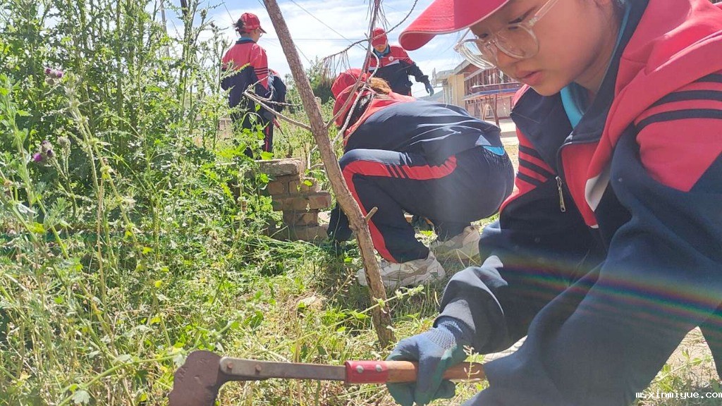必威betway中文官网「2023年成长不烦恼」夏令营第二天：美化营区环境 亲历亲为造新“家”_m.xinmiyue.com
