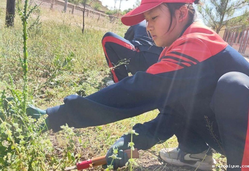 必威betway中文官网「2023年成长不烦恼」夏令营第二天：美化营区环境 亲历亲为造新“家”_m.xinmiyue.com