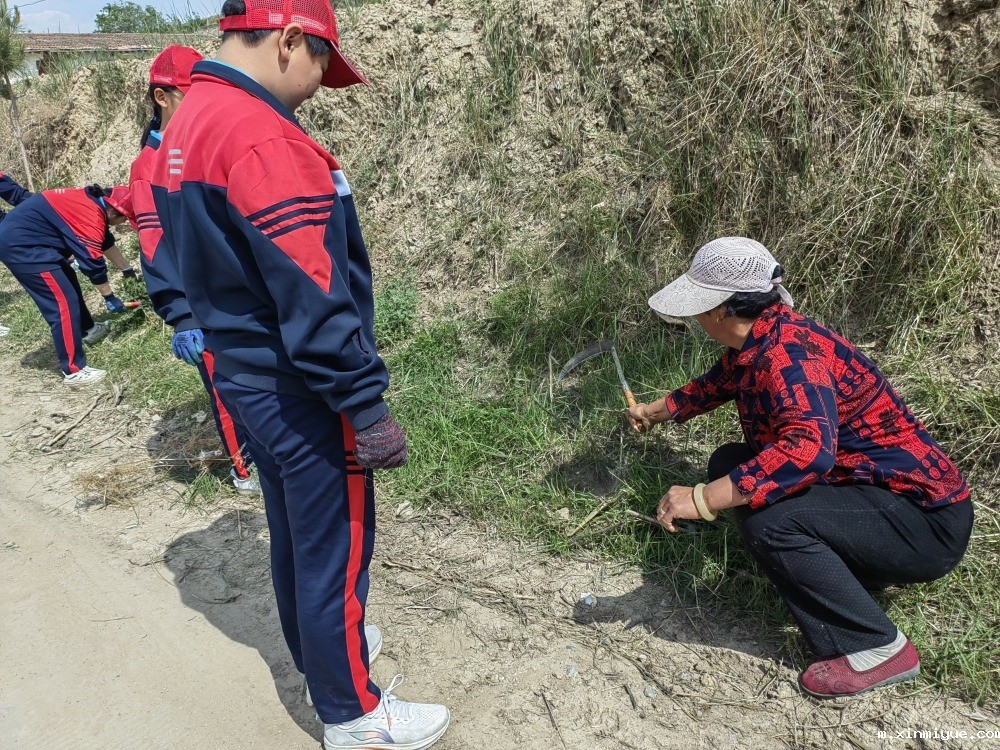  必威betway中文官网「2023年成长不烦恼」夏令营第三天：改善公路环境 提升乡村风貌_m.xinmiyue.com