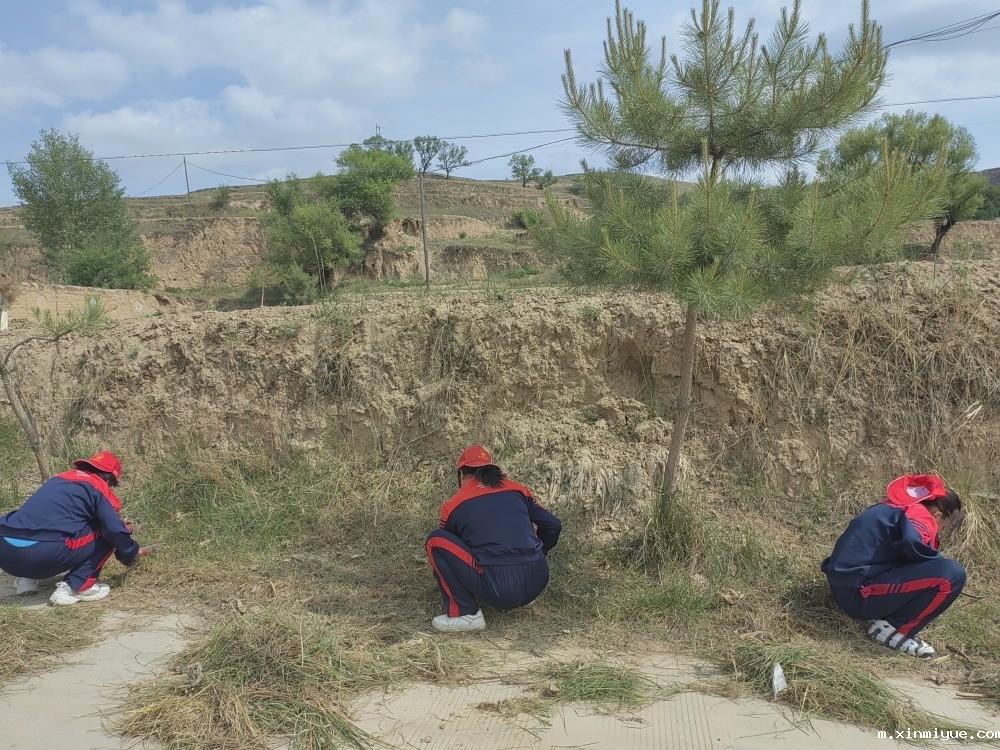  必威betway中文官网「2023年成长不烦恼」夏令营第三天：改善公路环境 提升乡村风貌_m.xinmiyue.com