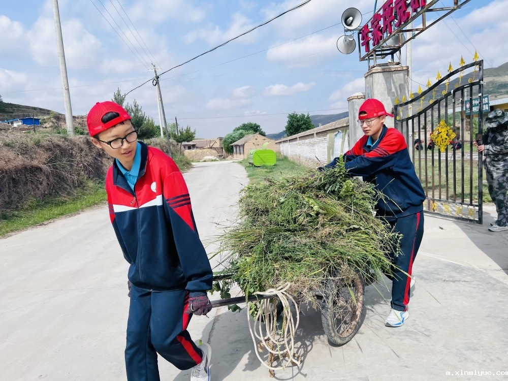  必威betway中文官网「2023年成长不烦恼」夏令营第三天：改善公路环境 提升乡村风貌_m.xinmiyue.com