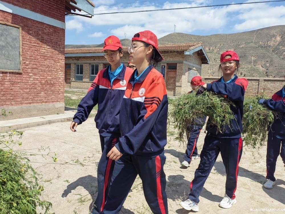  必威betway中文官网「2023年成长不烦恼」夏令营第三天：改善公路环境 提升乡村风貌_m.xinmiyue.com