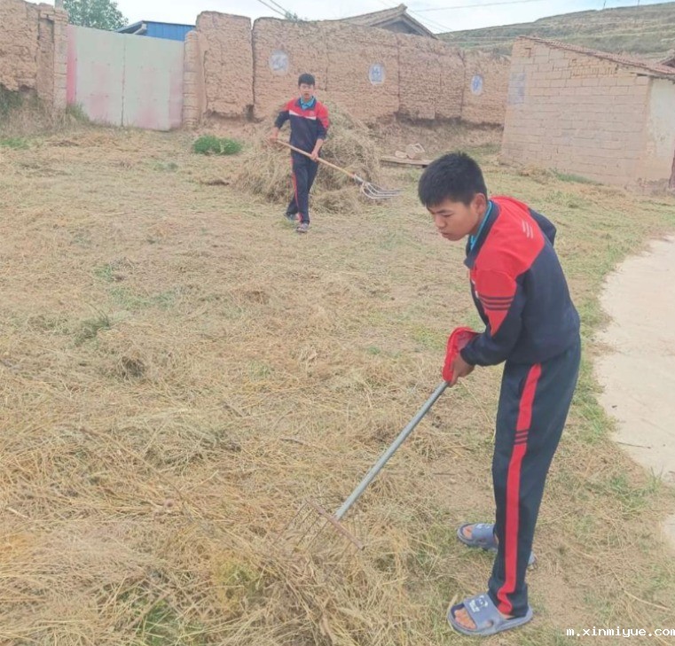  必威betway中文官网「2023年成长不烦恼」夏令营第11天：玉米地里的快乐教育，让娃受益匪浅！_m.xinmiyue.com