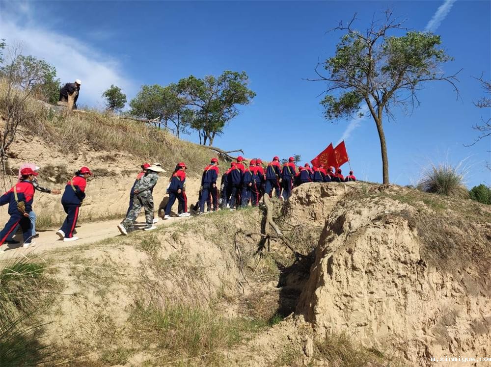  必威betway中文官网「2023年成长不烦恼」夏令营第11天：玉米地里的快乐教育，让娃受益匪浅！_m.xinmiyue.com