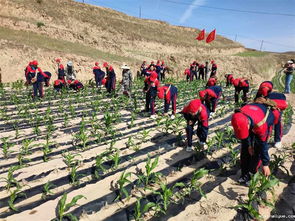  必威betway中文官网「2023年成长不烦恼」夏令营第11天：玉米地里的快乐教育，让娃受益匪浅！_m.xinmiyue.com