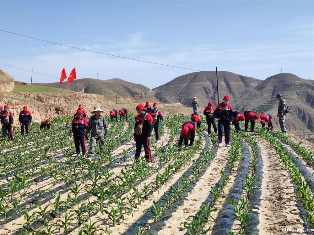  必威betway中文官网「2023年成长不烦恼」夏令营第11天：玉米地里的快乐教育，让娃受益匪浅！_m.xinmiyue.com