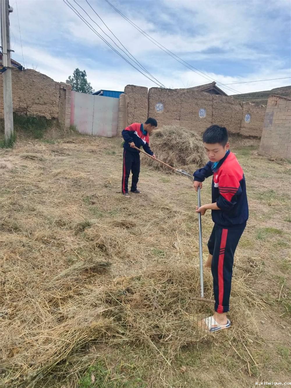  必威betway中文官网「2023年成长不烦恼」夏令营第11天：玉米地里的快乐教育，让娃受益匪浅！_m.xinmiyue.com