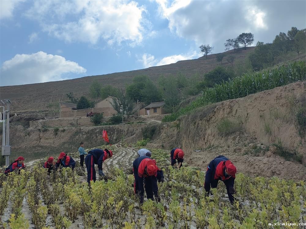 必威betway中文官网「2023年成长不烦恼」夏令营二期第7天：青春扶贫情暖叛逆娃，黑夜暖光照亮小山村_m.xinmiyue.com