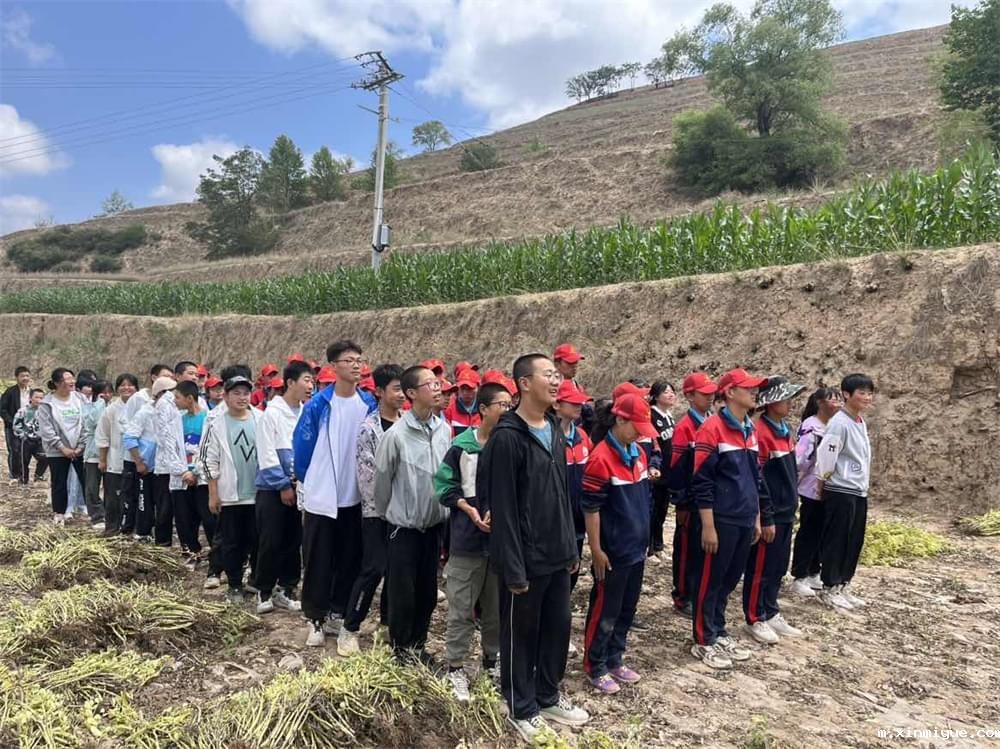 必威betway中文官网「2023年成长不烦恼」夏令营二期第7天：青春扶贫情暖叛逆娃，黑夜暖光照亮小山村_m.xinmiyue.com