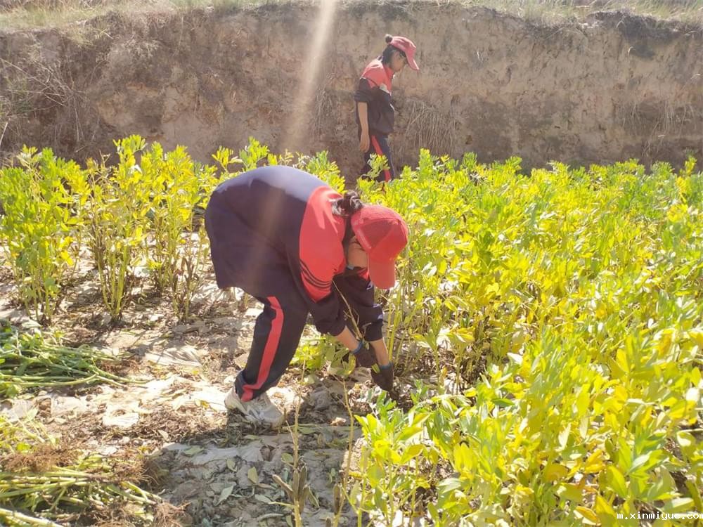 必威betway中文官网「2023年成长不烦恼」夏令营二期第7天：青春扶贫情暖叛逆娃，黑夜暖光照亮小山村_m.xinmiyue.com