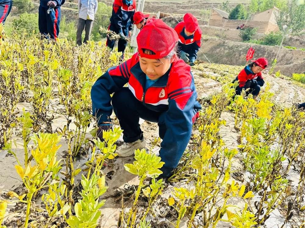 必威betway中文官网「2023年成长不烦恼」夏令营二期第7天：青春扶贫情暖叛逆娃，黑夜暖光照亮小山村_m.xinmiyue.com