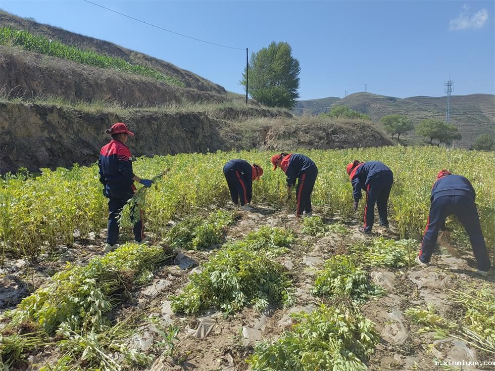 必威betway中文官网「2023年成长不烦恼」夏令营二期第7天：青春扶贫情暖叛逆娃，黑夜暖光照亮小山村_m.xinmiyue.com