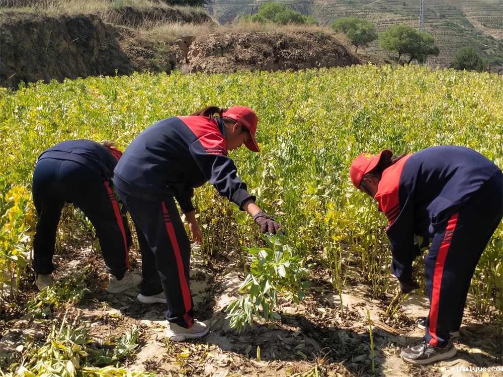 必威betway中文官网「2023年成长不烦恼」夏令营二期第7天：青春扶贫情暖叛逆娃，黑夜暖光照亮小山村_m.xinmiyue.com