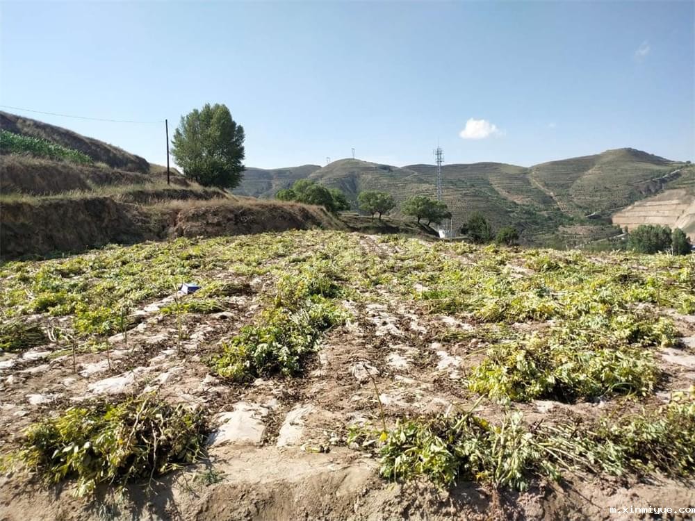 必威betway中文官网「2023年成长不烦恼」夏令营二期第7天：青春扶贫情暖叛逆娃，黑夜暖光照亮小山村_m.xinmiyue.com