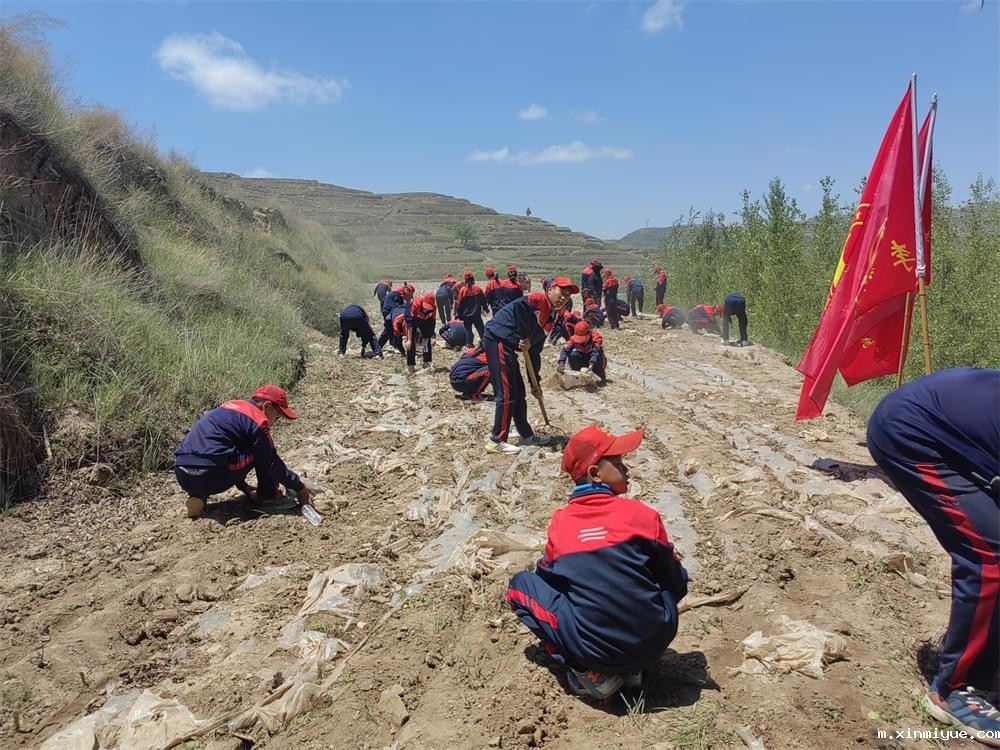 必威betway中文官网「2023年成长不烦恼」夏令营二期第7天：青春扶贫情暖叛逆娃，黑夜暖光照亮小山村_m.xinmiyue.com