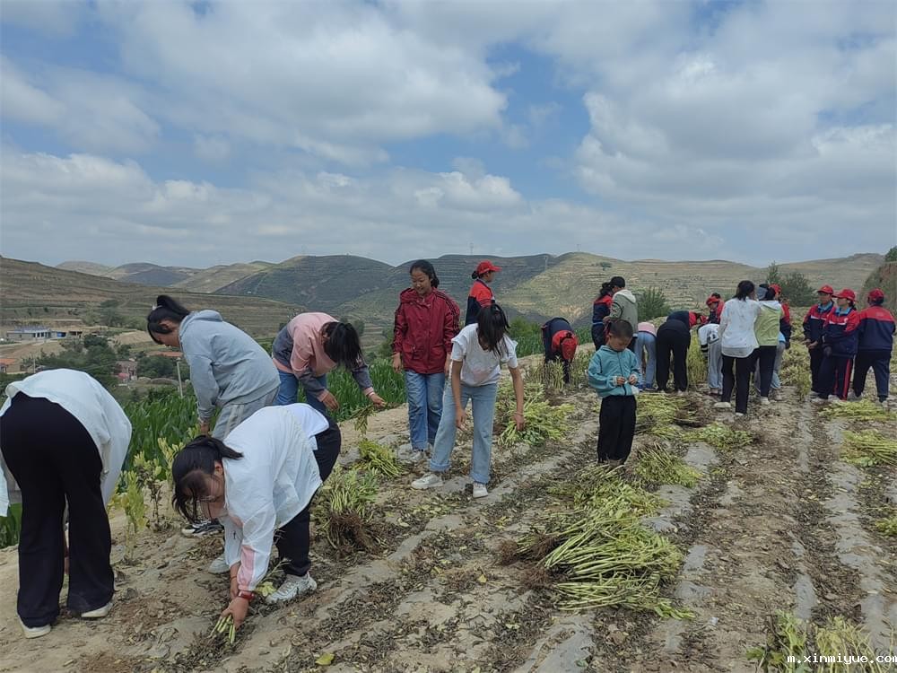 必威betway中文官网「2023年成长不烦恼」夏令营二期第7天：青春扶贫情暖叛逆娃，黑夜暖光照亮小山村_m.xinmiyue.com