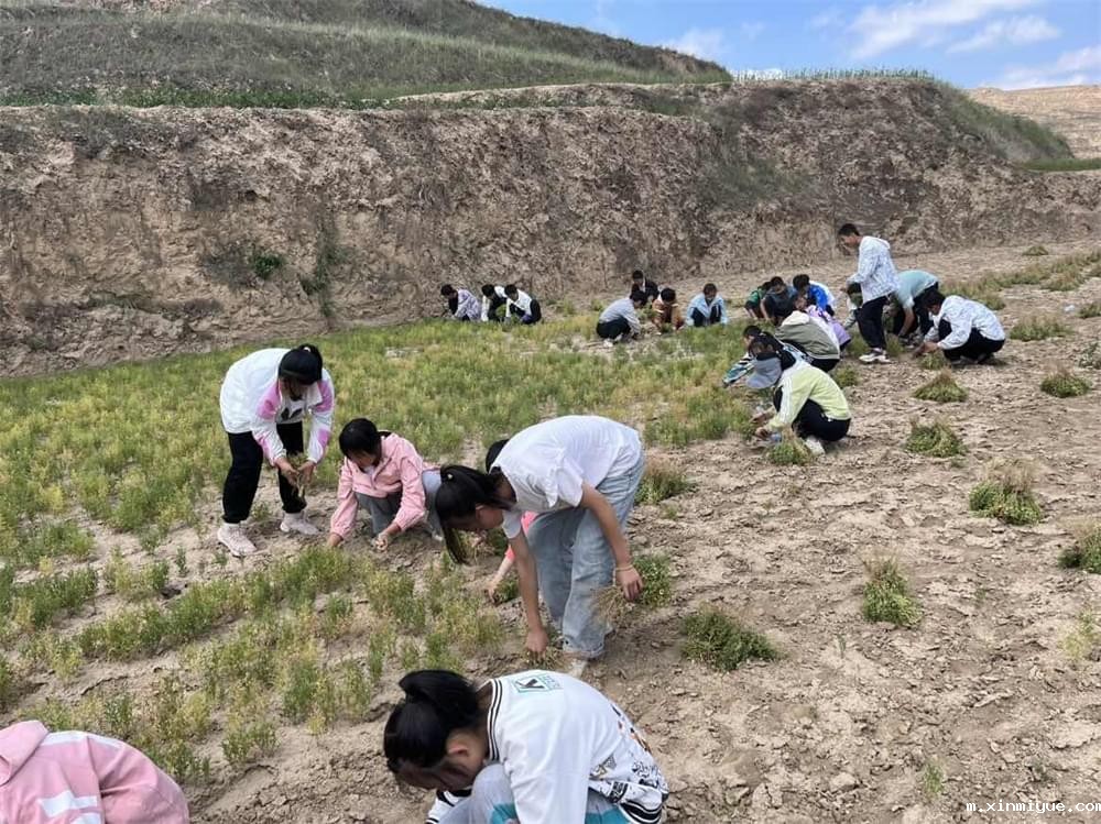 必威betway中文官网「2023年成长不烦恼」夏令营二期第7天：青春扶贫情暖叛逆娃，黑夜暖光照亮小山村_m.xinmiyue.com