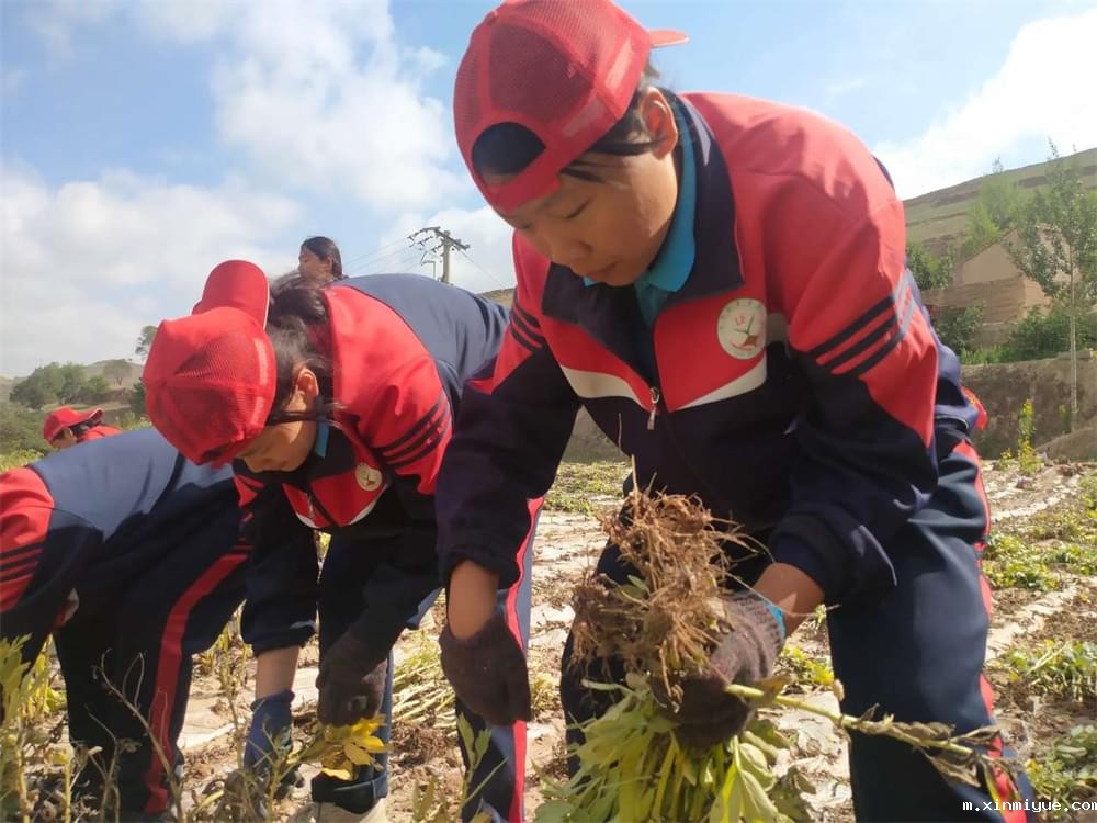 必威betway中文官网「2023年成长不烦恼」夏令营二期第7天：青春扶贫情暖叛逆娃，黑夜暖光照亮小山村_m.xinmiyue.com