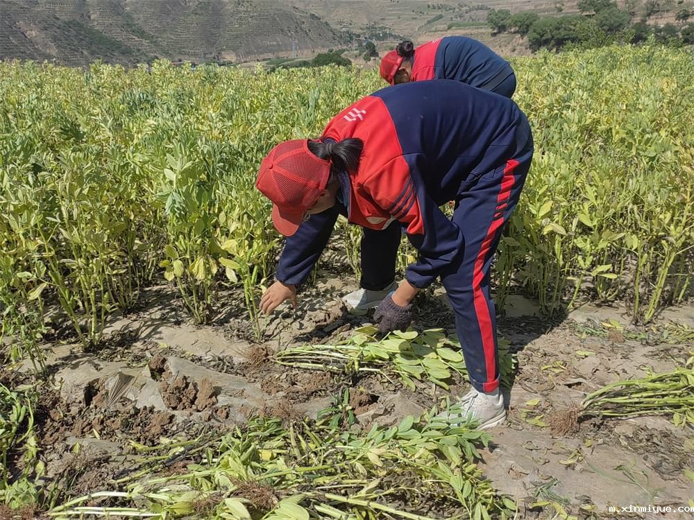 必威betway中文官网「2023年成长不烦恼」夏令营二期第7天：青春扶贫情暖叛逆娃，黑夜暖光照亮小山村_m.xinmiyue.com