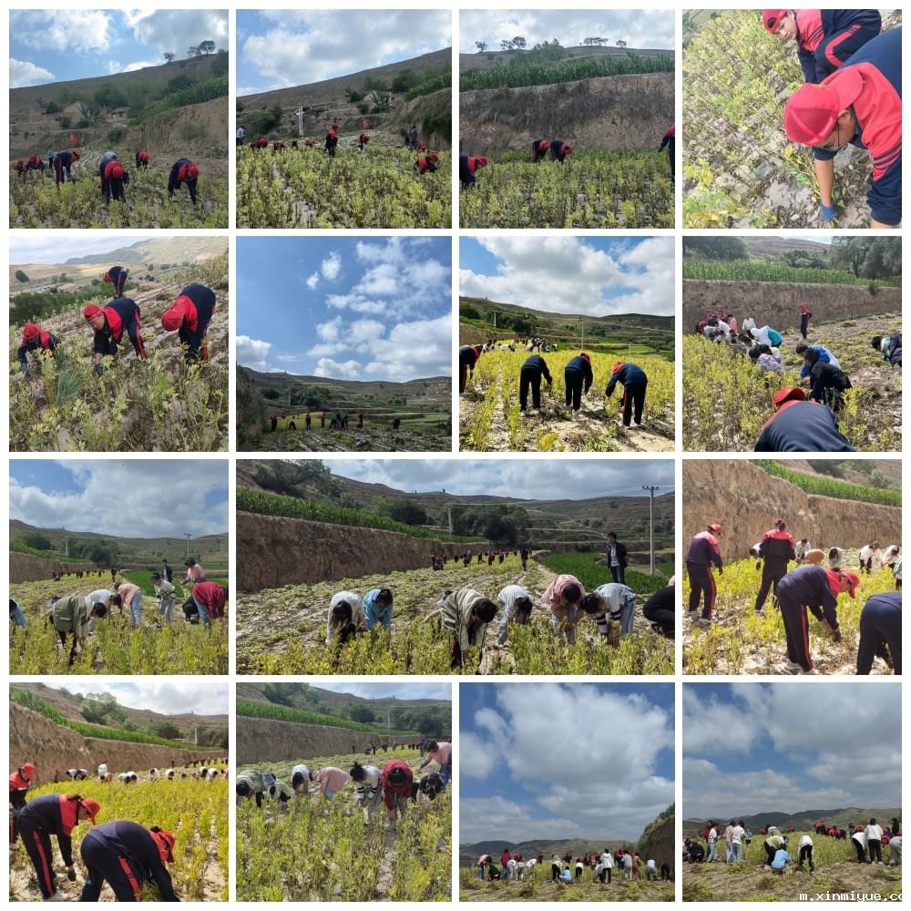 必威betway中文官网「2023年成长不烦恼」夏令营二期第7天：青春扶贫情暖叛逆娃，黑夜暖光照亮小山村_m.xinmiyue.com