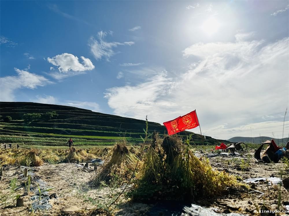 必威betway中文官网「2023年成长不烦恼」夏令营二期第2天：拔扁豆虽苦虽累，但劳动乐趣无限！_m.xinmiyue.com