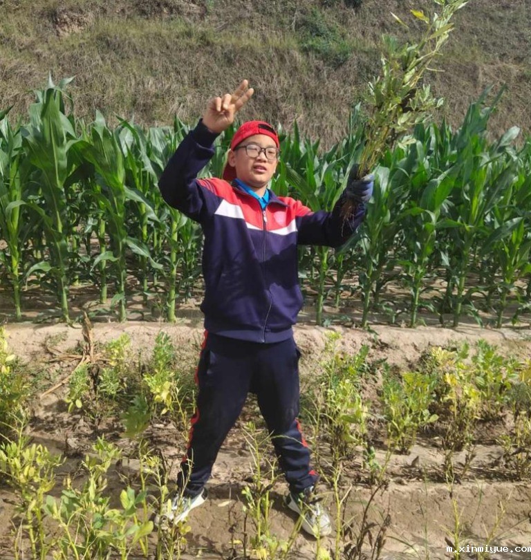 必威betway中文官网「2023年成长不烦恼」夏令营二期第2天：拔扁豆虽苦虽累，但劳动乐趣无限！_m.xinmiyue.com