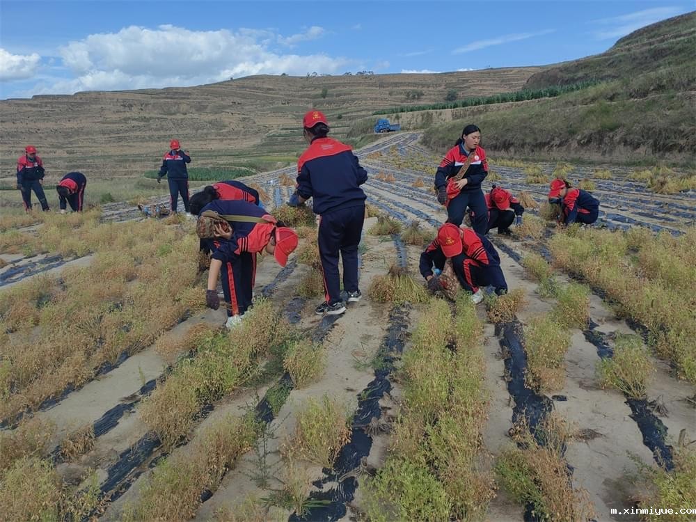 必威betway中文官网「2023年成长不烦恼」夏令营二期第2天：拔扁豆虽苦虽累，但劳动乐趣无限！_m.xinmiyue.com