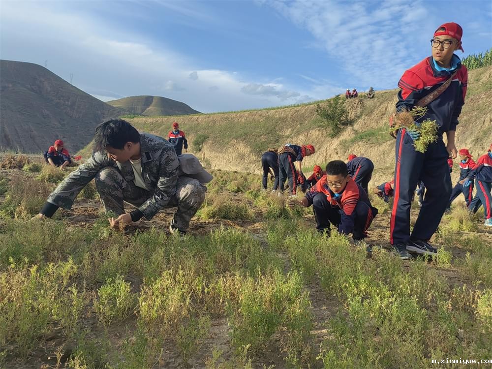 必威betway中文官网「2023年成长不烦恼」夏令营二期第2天：拔扁豆虽苦虽累，但劳动乐趣无限！_m.xinmiyue.com