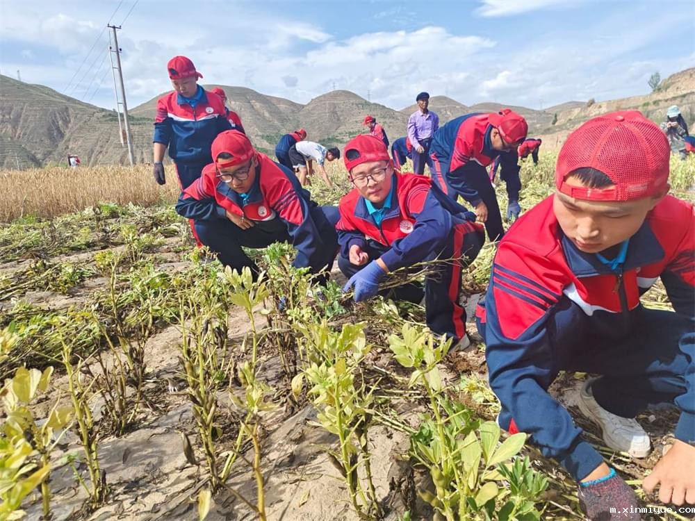 必威betway中文官网「2023年成长不烦恼」夏令营二期第2天：拔扁豆虽苦虽累，但劳动乐趣无限！_m.xinmiyue.com