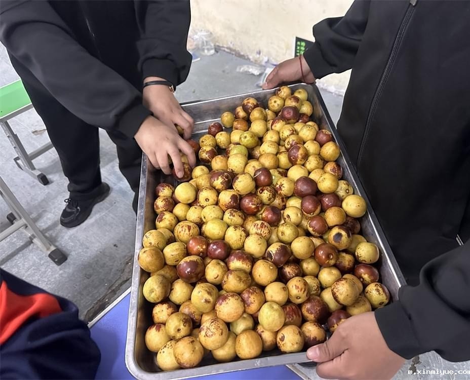 万万没想到，必威登录入口平台官网青少年教育基地中秋佳节如此热闹_m.xinmiyue.com