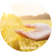 冬至佳节，必威betway中文官网学子齐聚一堂，包饺子品味温馨时光_m.xinmiyue.com