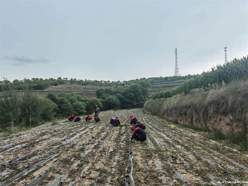 泰兴青年特训学校：助力叛逆孩子找回自我，重塑人生新篇章_m.xinmiyue.com