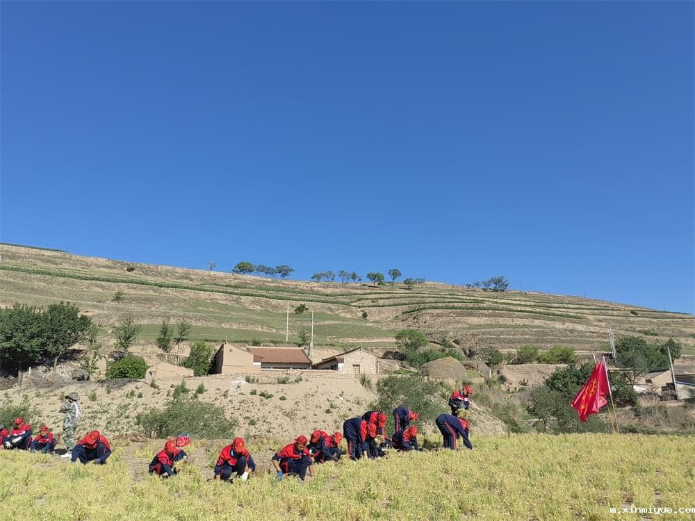 小孩子吃苦夏令营：快乐与意义并存的暑假体验_m.xinmiyue.com