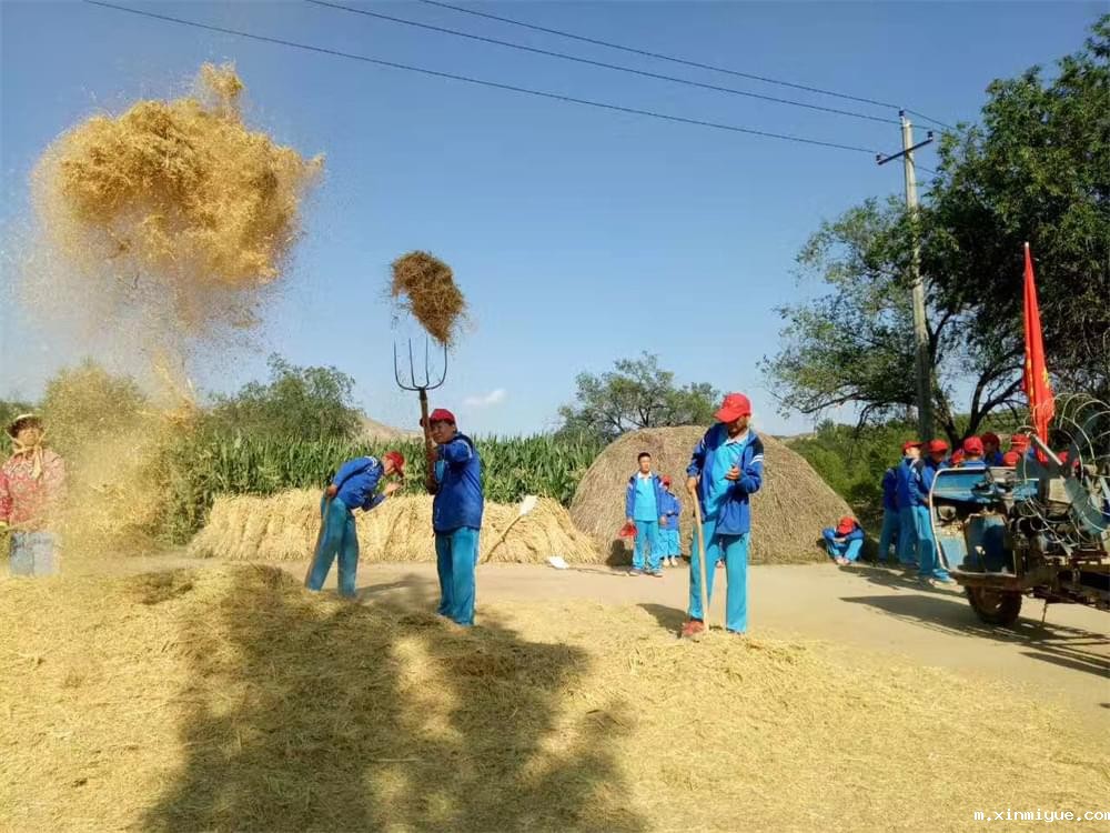 暑期军事夏令营火热报名中！让孩子真正蜕变，迎接挑战！_m.xinmiyue.com