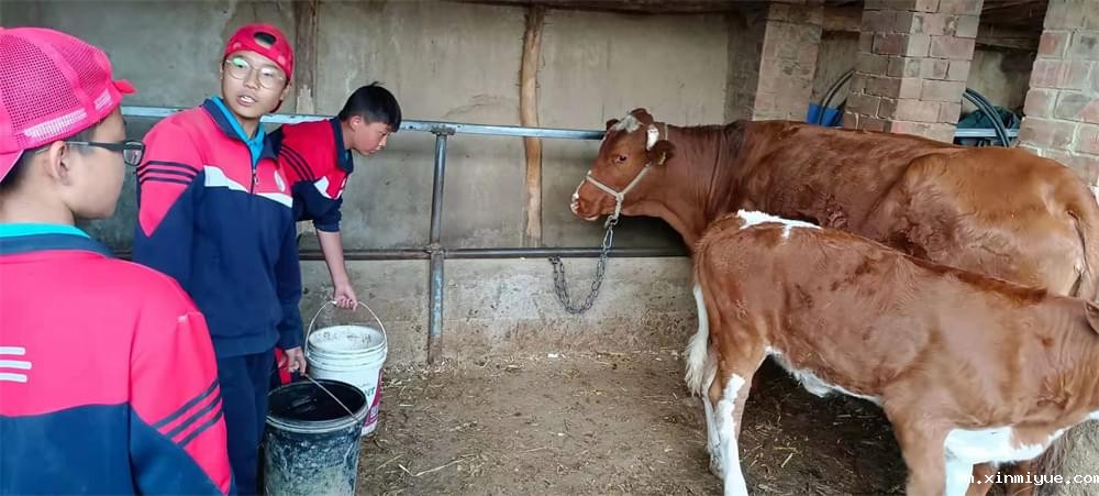 山村夏令营学子逐梦记：坚韧与希望照亮求学路_m.xinmiyue.com