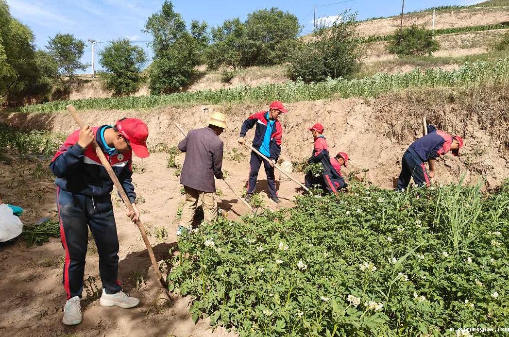 徒步山村求学记：贫困山村夏令营10公里越野，见证成长的每一步_m.xinmiyue.com