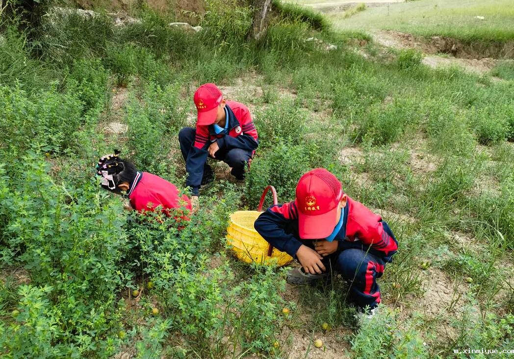 必威betway中文官网2024年山村磨练夏令营：与山村学子同行_m.xinmiyue.com