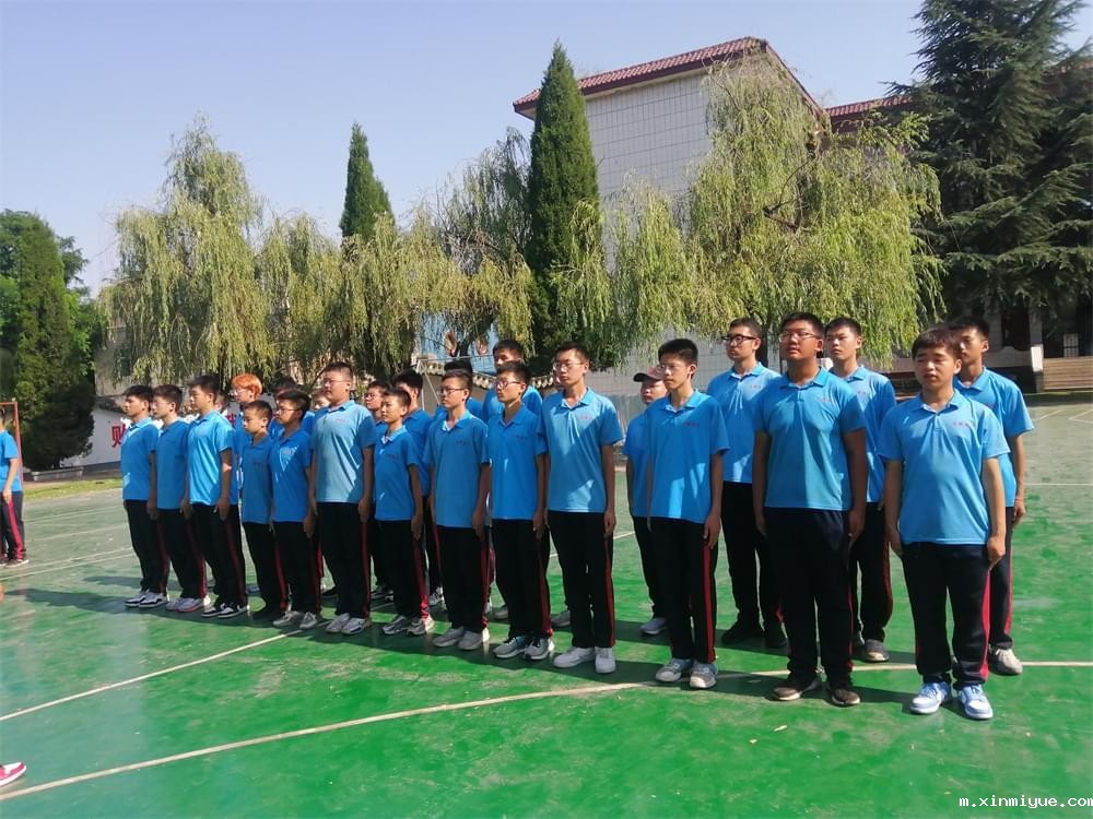 《解码“小屏幕”迷局：为何孩子如此迷恋手机？》_m.xinmiyue.com