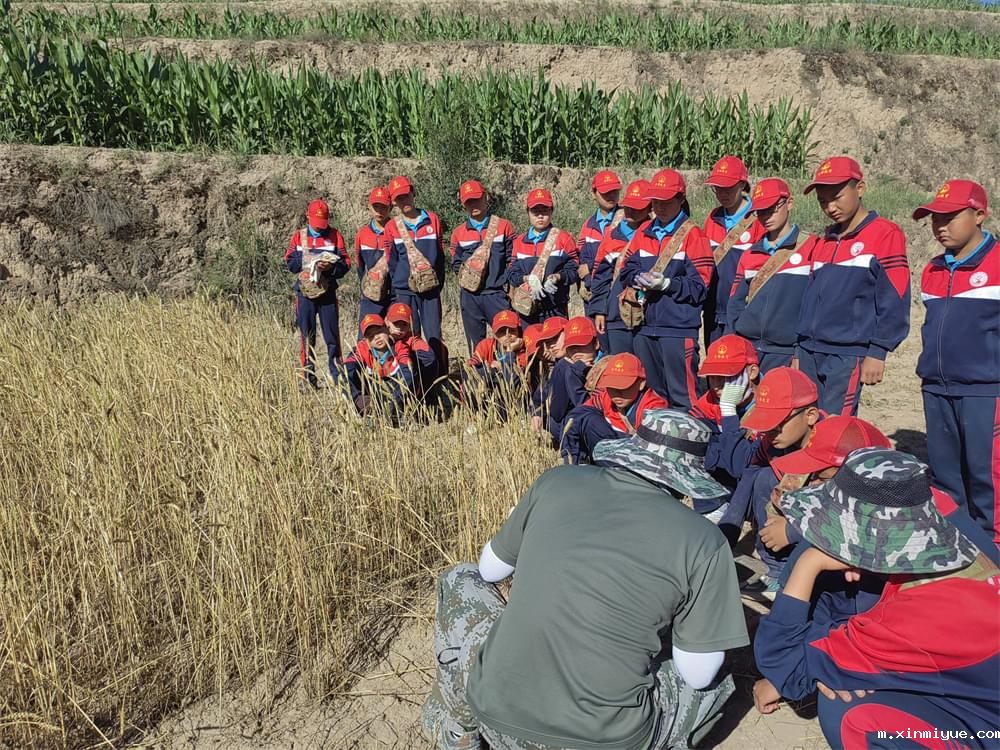 亲子共戒手机瘾：从‘同频共振’到‘无手机时光’的温馨转型_m.xinmiyue.com