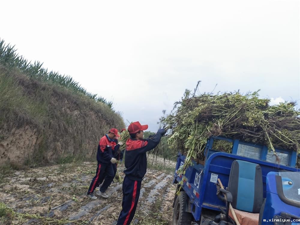 警惕！“过度富养”现象：父母之爱，何以成害？_m.xinmiyue.com