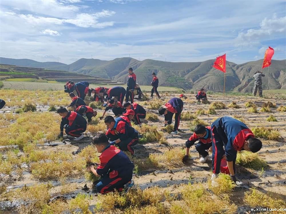 扎克伯格育儿秘籍曝光！培养“家务小能手”，从转变父母观念开始_m.xinmiyue.com