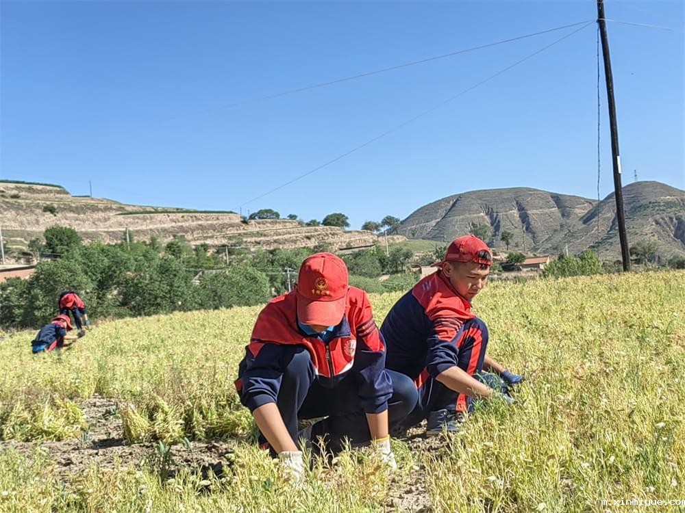 ‌必威betway中文官网2024年11月第4周特色课程：感受爱，表达爱，付出爱_m.xinmiyue.com