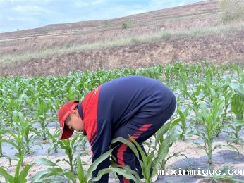 贫困山村磨炼夏令营：心灵的洗礼，未来的绽放