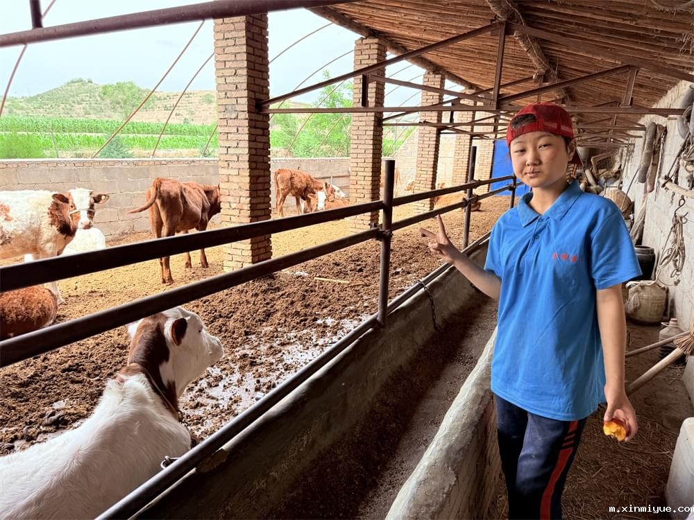 传递温暖，照亮未来：必威betway中文官网助学金在山村夏令营中的传递_m.xinmiyue.com