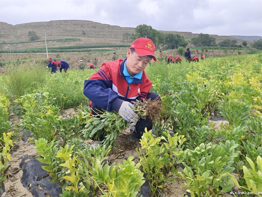 必威登录入口平台官网夏令营：生活不易？不，这里满是美好与成长！_m.xinmiyue.com
