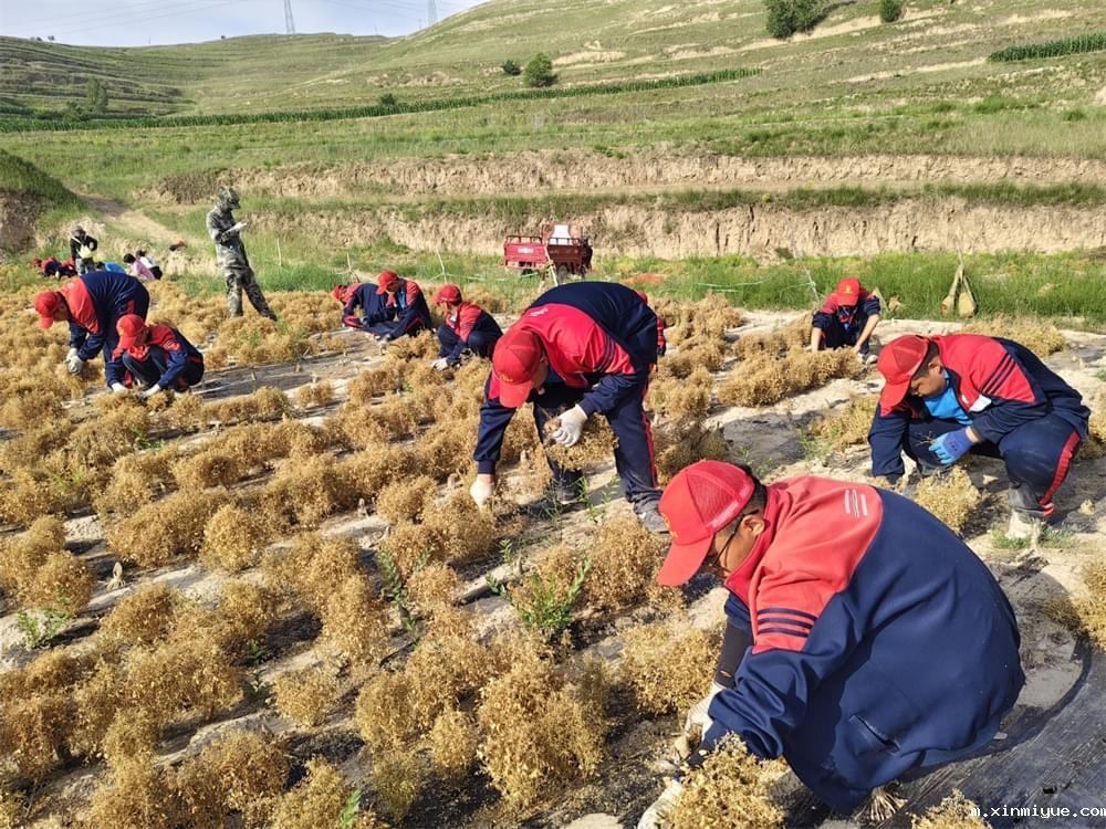 ‌贫困山村磨炼夏令营：一次心灵的触碰与成长的火花_m.xinmiyue.com