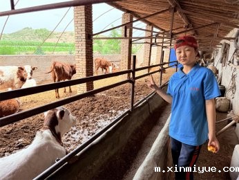 传递温暖，照亮未来：必威betway中文官网助学金在山村夏令营中的传递